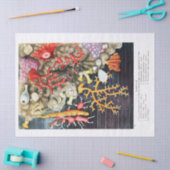 Antiek oceaankoralen tissuepapier (Craft)