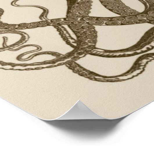 Antiek Octopus Poster (Hoek)