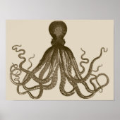 Antiek Octopus Poster (Voorkant)