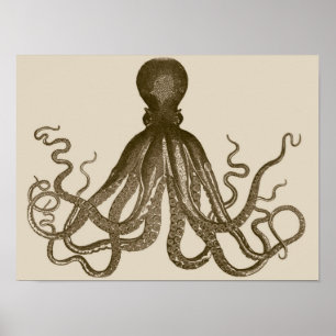 Antiek Octopus Poster