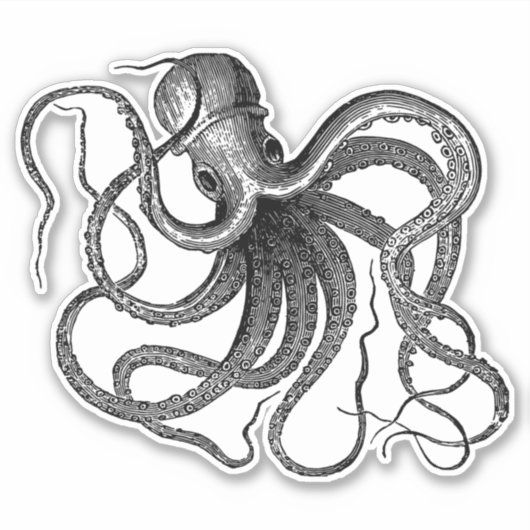Antiek octopus zwemmen sticker (Voorkant)