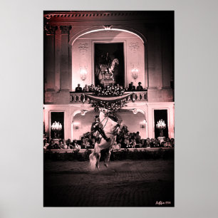Antiek Oostenrijk Wenen Spaanse Courbette Poster