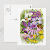 Antiek/ orchideeën Floral Briefkaart (Voorkant / Achterkant)