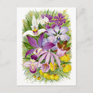 Antiek/ orchideeën Floral Briefkaart