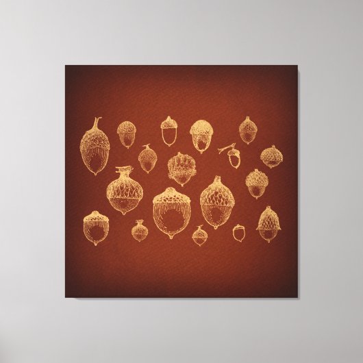 Antiek orn Kunst geïllustreerde eikels Canvas Afdruk (Voorkant)