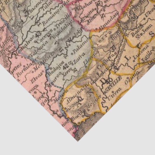 Antiek oude kaart geïnspireerd (5) tissuepapier (Detail)