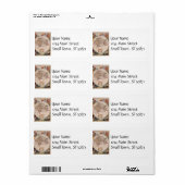  Antiek, oude Wereldkaart, ontwerp met flauwte afd Etiket (Full Sheet)