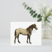 Antiek paarden - Appaloosa Briefkaart (Staand voorkant)