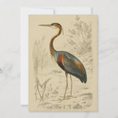 Antiek Paars Heron Travies Edouard Print Feestdagenkaart (Voorkant)