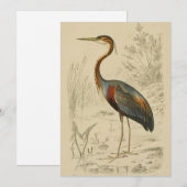Antiek Paars Heron Travies Edouard Print Feestdagenkaart (Voorkant / Achterkant)