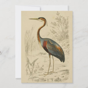 Antiek Paars Heron Travies Edouard Print Feestdagenkaart