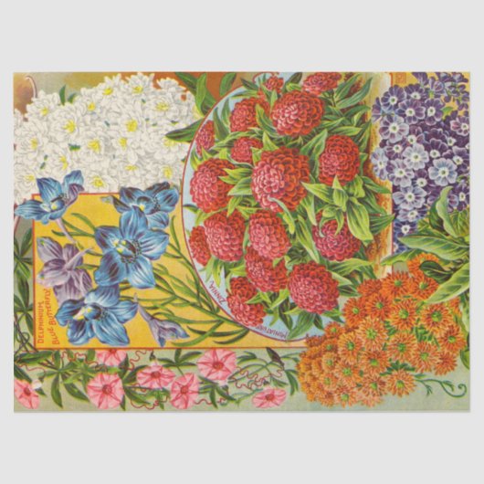 Antiek papier voor het aanjaagweefsel (Voorkant)