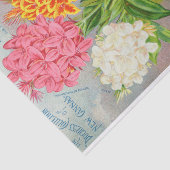 Antiek papier voor kleurrijke kanonnen (Detail)