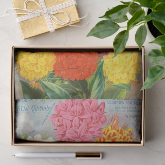 Antiek papier voor kleurrijke kanonnen (Geschenk)