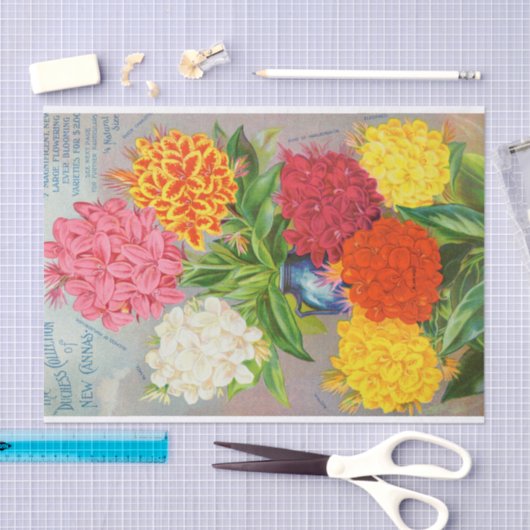 Antiek papier voor kleurrijke kanonnen (Craft)