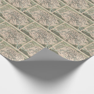 Antiek Paris Street Map Cadeaupapier