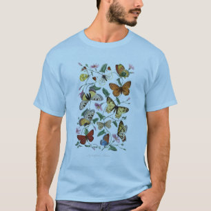 Antiek Paul Gervais Vlinders Natuurlijke historie T-shirt