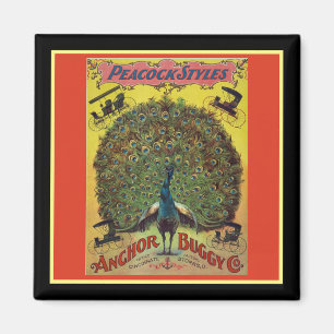 Antiek pauw buggy bedrijf rood geel magneet