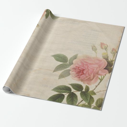 Antiek Peony-looppapierrol Cadeaupapier (Uitgerold)