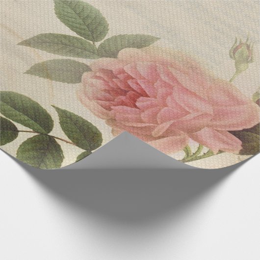 Antiek Peony-looppapierrol Cadeaupapier (Hoek)