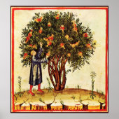 ANTIEK POMEGRANAAT TREE POSTER (Voorkant)