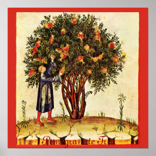 ANTIEK POMEGRANAAT TREE POSTER