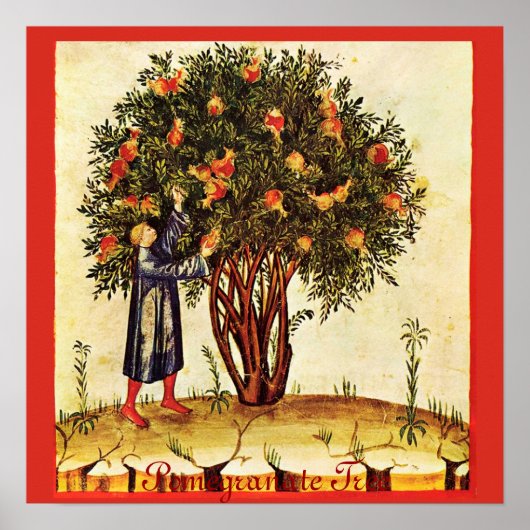 ANTIEK POMEGRANAAT TREE POSTER (Voorkant)