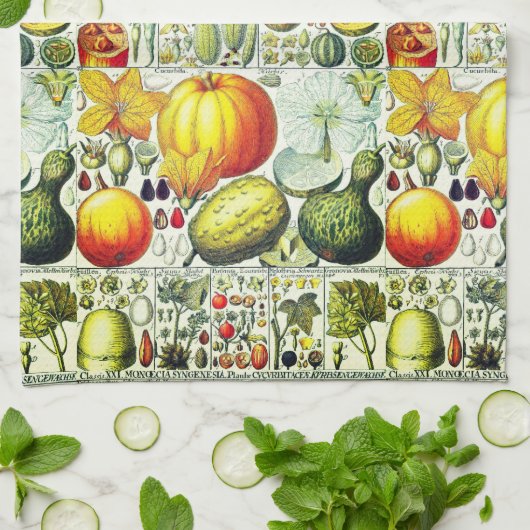 Antiek pompoen en pompoenen botanische afdruk theedoek (Gevouwen)