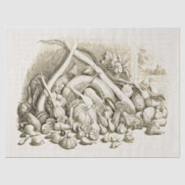 Antiek pompoen squash beige tissuepapier