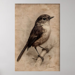 Antiek Portret Mus Op Boom Print, Vintage Poster