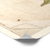 Antiek Poster met botanische afdruk Cistus, Rock R (Hoek)