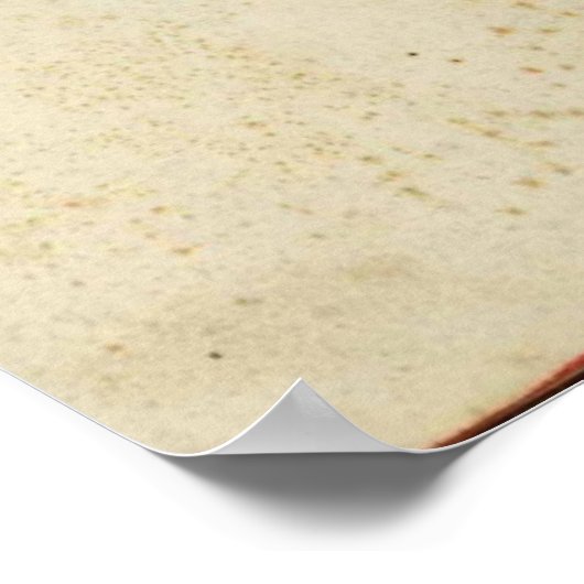 Antiek Poster met botten - anas (Hoek)