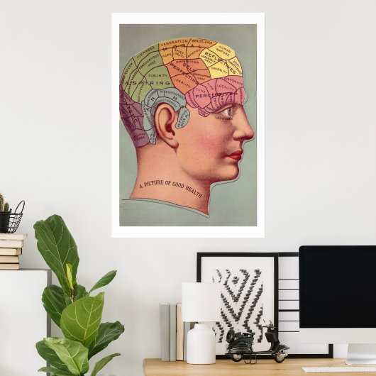 Antiek Poster Phrenology head (Thuiskantoor)