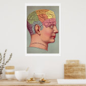 Antiek Poster Phrenology head (Keuken)