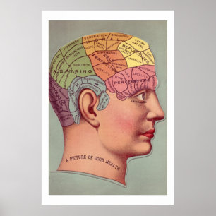 Antiek Poster Phrenology head