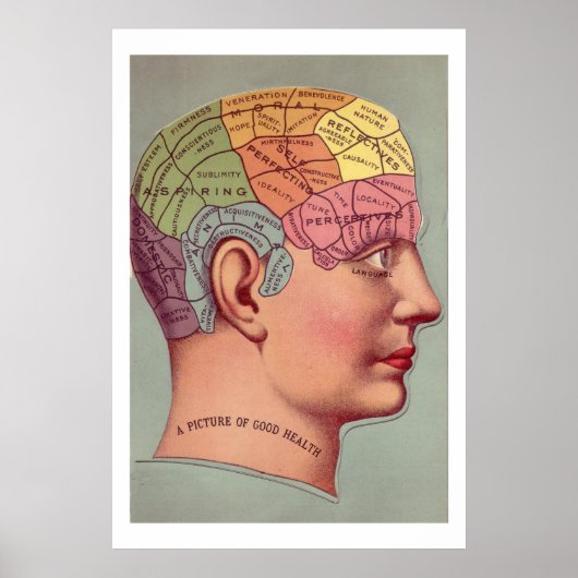 Antiek Poster Phrenology head (Voorkant)