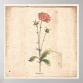 Antiek Poster speldenkussen (Voorkant)