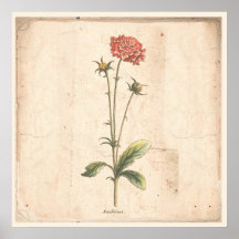 Antiek Poster speldenkussen