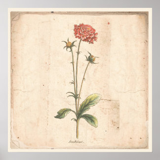 Antiek Poster speldenkussen