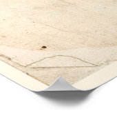 Antiek Poster voor botanische afdrukken Buttonnen (Hoek)