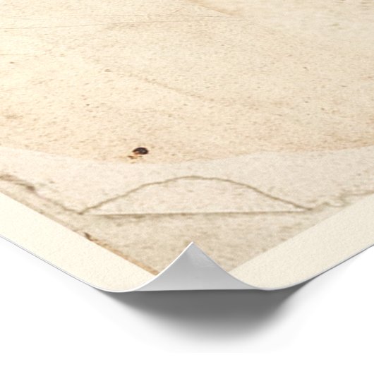 Antiek Poster voor botanische afdrukken Buttonnen (Hoek)