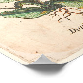 Antiek Poster voor botanische afdrukken, dubbelzij (Hoek)