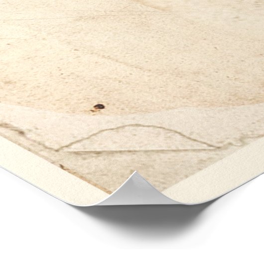 Antiek Poster voor botanische afdrukken Veronica F (Hoek)