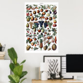  Antiek Poster voor het drukken van fruit (Thuiskantoor)