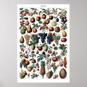  Antiek Poster voor het drukken van fruit
