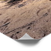 Antiek Posters (Hoek)