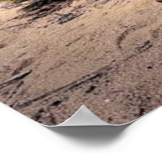 Antiek Posters (Hoek)