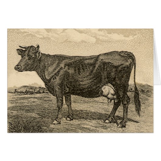 Antiek productlabel, Dwight's Bicarbonated Soda (Voorkant Horizontaal)