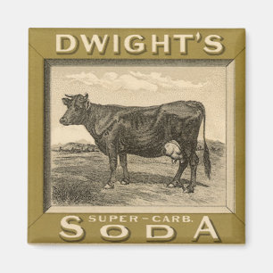 Antiek productlabel, Dwight's Bicarbonated Soda Magneet