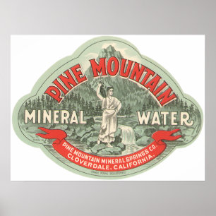 Antiek Productlabel, Pine Mountain Mineraalwater Poster